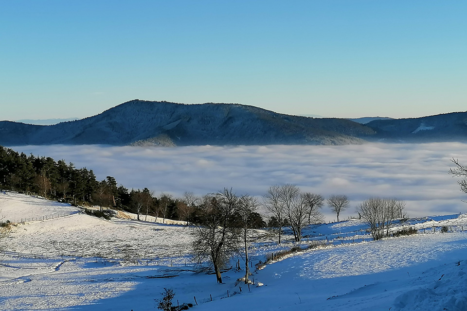 RIVAJ AYUVÉDA - Paysage avec la neige